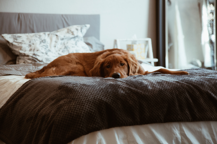 The Best Ways To Clean Your Mattress
